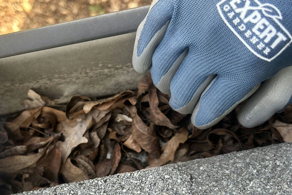 Troy Gutter Cleaning
