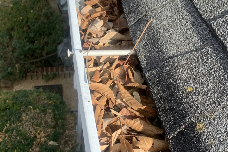 Troy Gutter Cleaning