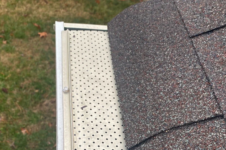 Troy Gutter Cleaning
